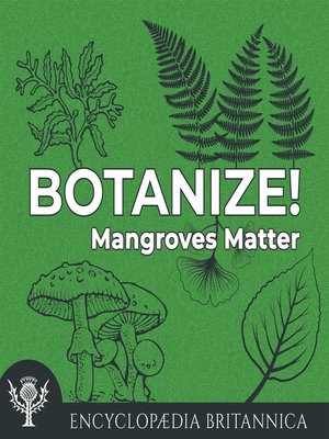 cover image of Mangroves Matter